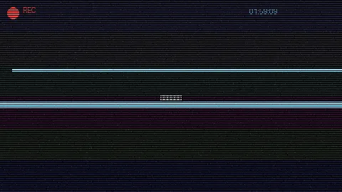 胡同里的故事 - 美国victory day 人文纪实